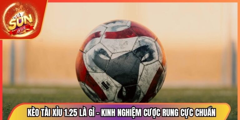 Kèo Tài Xỉu 1.25 Là Gì - Kinh Nghiệm Cược Rung Cực Chuẩn